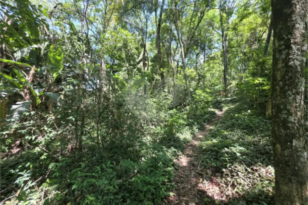 Casa para Locação no Condomínio Jardim América em Vinhedo/SP