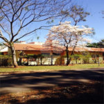 Casa Térrea no Condomínio Vila Pinhal Do Broa