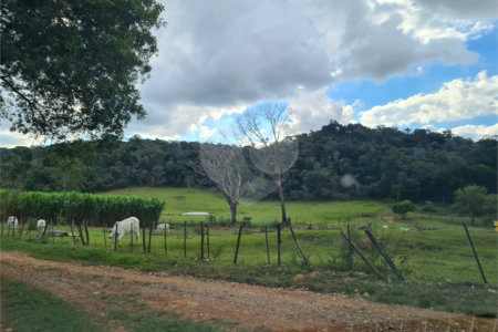 VENDA SÍTIO 48 hectares com estruura para granja, hidroponia e gado
