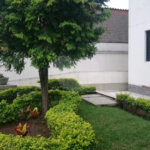 Apartamento de 70m2 no Mandqui de 3 dormitórios, sala com sacada e 2 vagas garagem