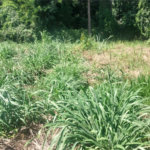 Lote a venda de 266,00m² no Residencial Capivari - Louveira-SP