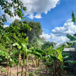 Lote à venda no Balneário Santo Antônio – Broa