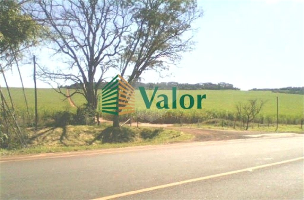 Sítio Estrada São Carlos Ribeirão - próximo São Carlos