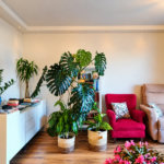 Apartamento com 72 m² Reformado à Venda com 2 quartos em Butantã, São Paulo - SP
