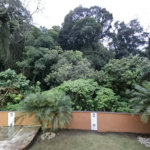 LINDA CASA PARA LOCAÇÃO COM 5 DORMITÓRIOS E PISCINA - Fernando Nobre – Cotia/SP