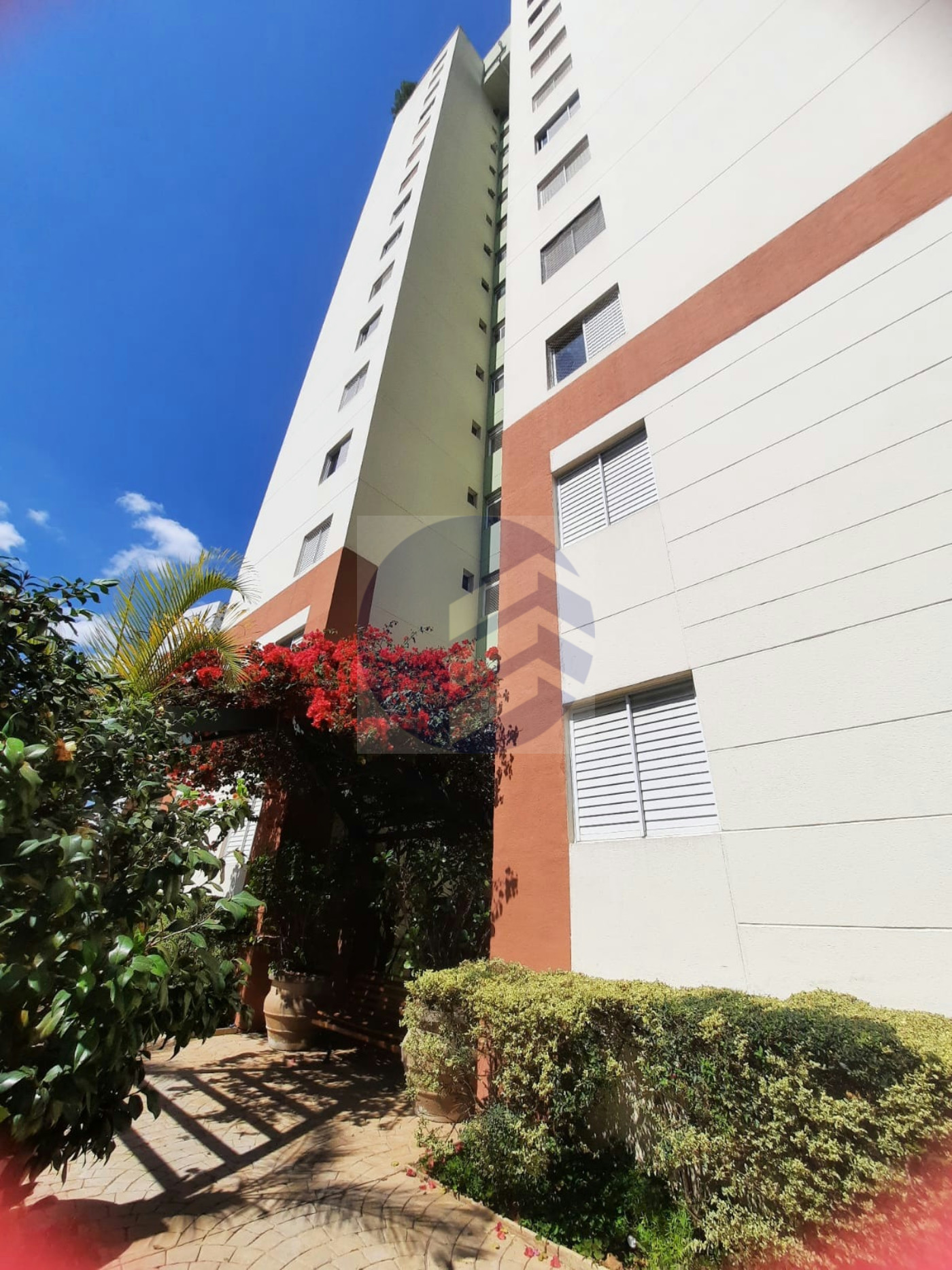Apartamento à venda com 3 quartos, sendo 1 suíte, em Vila Butantã, São Paulo - SP