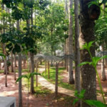 Terreno a venda no Faber III