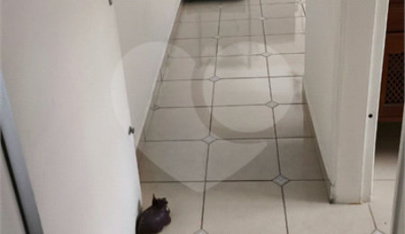 Sobrado à venda com 3 quartos em Vila Pires, Santo André, SP