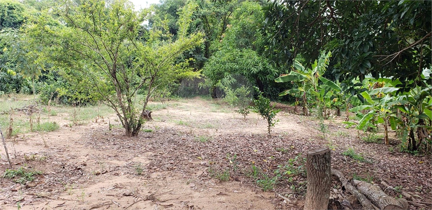 Sitio para venda.