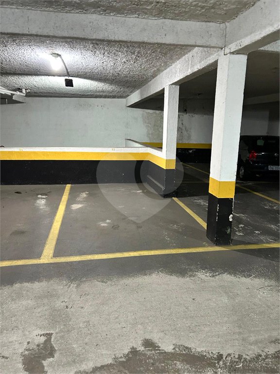 Amplo Apartamento Jardim França