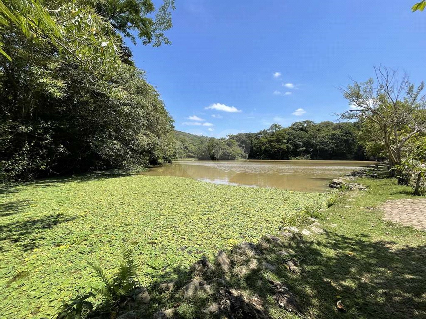 Casa de Alto Padrão à Venda e Locação - Condomínio Vila Verde