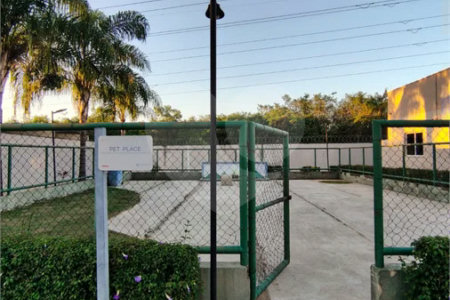 APE NOVINHO EM CACHAMORRA
