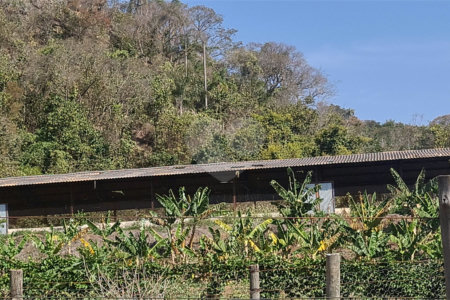 VENDA SÍTIO 48 hectares com estruura para granja, hidroponia e gado