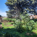 Terreno para venda na Rua 13 de maio