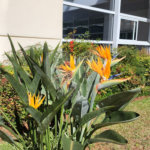 Apartamento mobiliado alto padrão, para venda ou locação, com 4 suítes e 4 vagas, em condomínio-clube no Ipiranga!