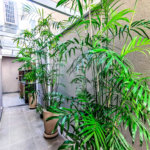 Casa à venda com 3 suítes no condomínio Residencial Paineiras, São Paulo - SP