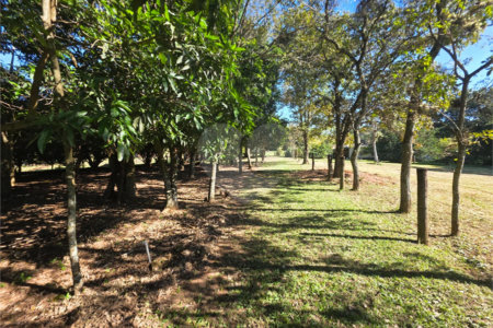 Sitio Granjeiro região de Água Vermelha 6,5 Alqueires (16,5 Hectares)