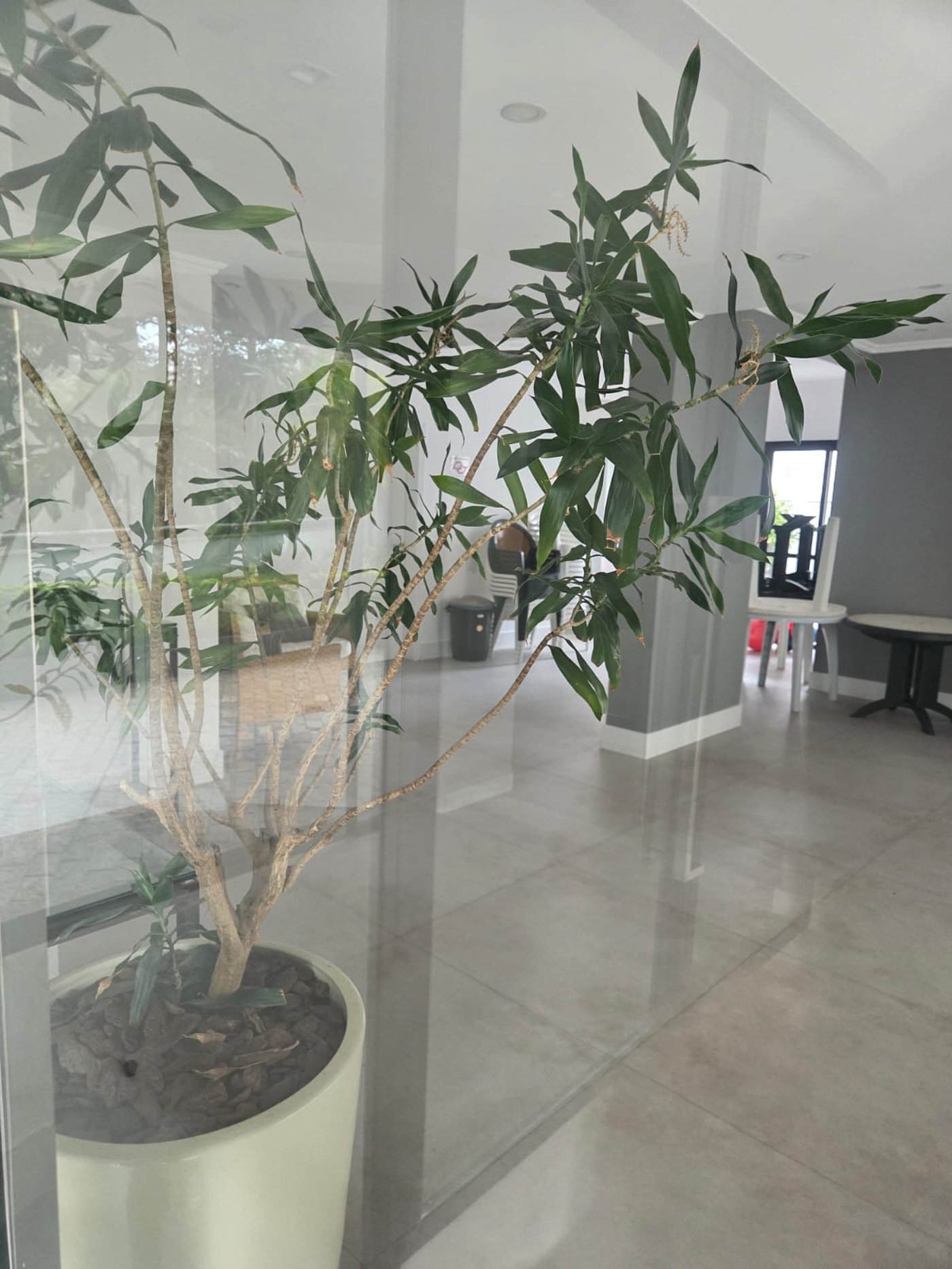 Apartamento à venda com 3 quartos, sendo 1 suíte, em Vila Andrade, São Paulo - SP