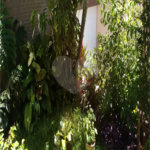 Sobrado Residencial Venda- 3 dormitórios, 1 suíte, 3 vagas- Tucuruvi - São Paulo/SP