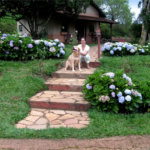 Spa Rural Chácara das Rosas à venda, a apenas 3 km do centro.