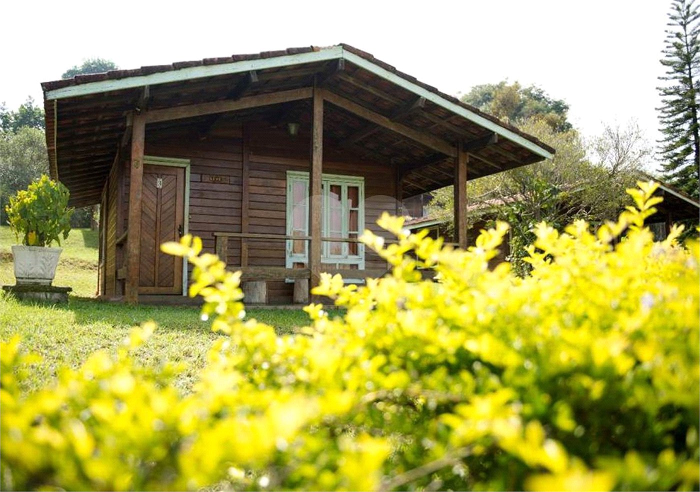 Fazenda à venda com 11 quartos no Centro, Analândia, SP