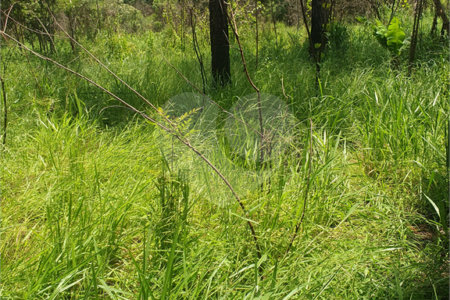 terreno a venda vila moraes - Mogi das Cruzes - SP