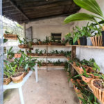 Terreno à venda em Vila Pirajussara, São Paulo, SP