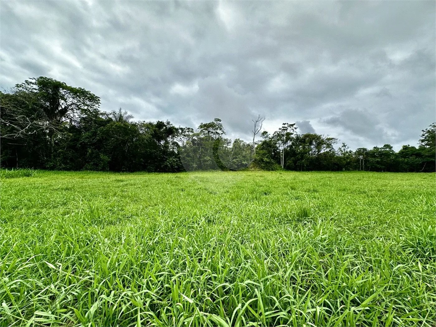 Terreno à venda em Riviera de São Lourenço, Bertioga, SP