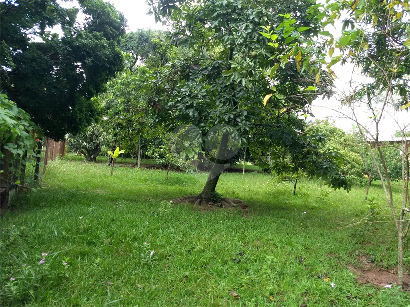 Chácara a venda no Residencial Planalto Serra Verde em Itirapina