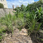 Terreno com vocação variada na Vila Monteiro em Piracicaba
