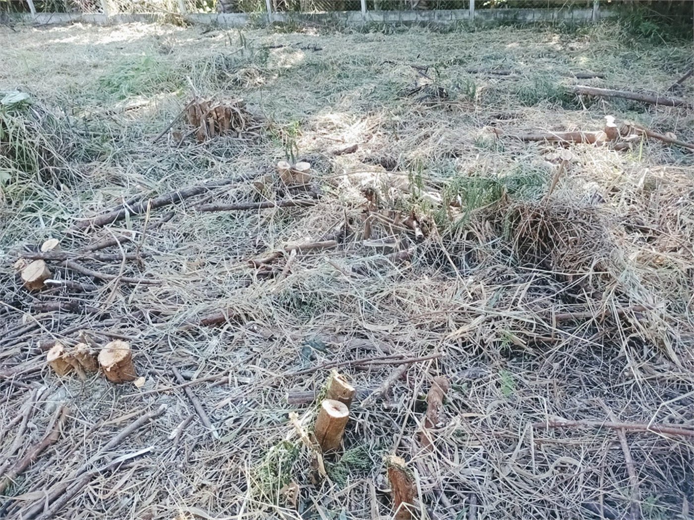 Terreno de 760m² Totalmente plano. Bairro Loteamento Vale das Flores, Atibaia, SP