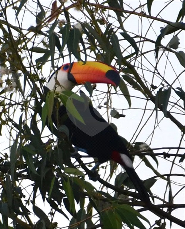 Loteamento à Venda em Itatiba - SP