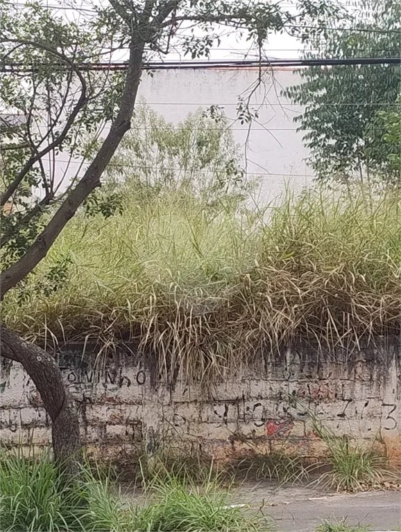 Terreno na rua Alcindo Bueno de Assis, localizada no bairro do Tucuruvi /Tremembé em São Paulo. Agende uma visita