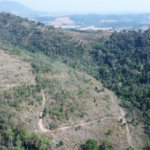 FAZENDA FORTALEZA, Caldas - MG