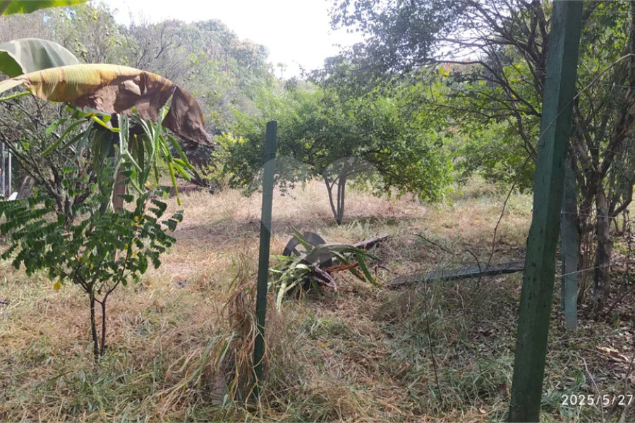 Chácara à venda em Tanquinho - Piracicaba/SP.