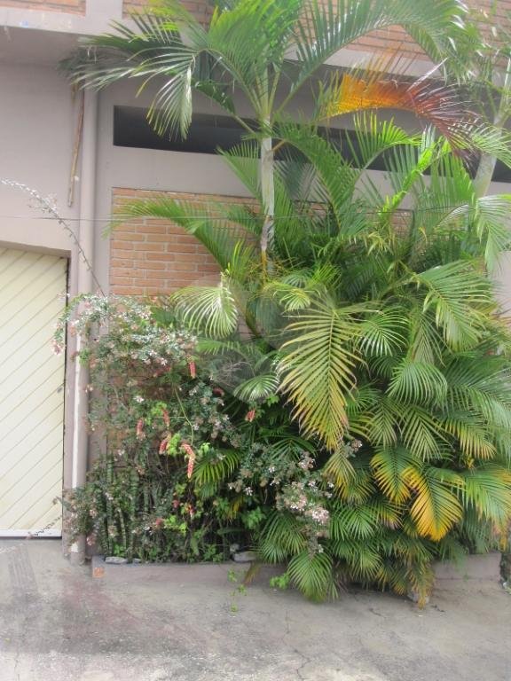 Galpão á venda - Zona Sul