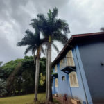 Chacara a venda Bairro Santa Rita - Piracicaba/SP
