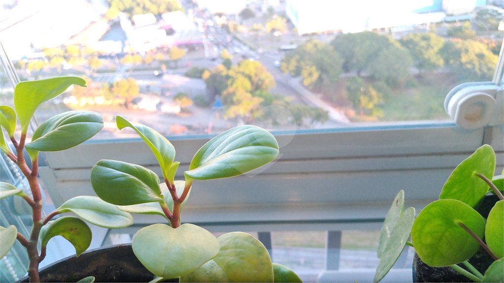 APARTAMENTO A VENDA EM SP BELÉM