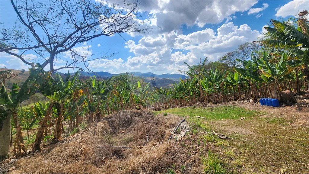 Sítio de 31 mil m² à VENDA em Àguas da Prata/SP