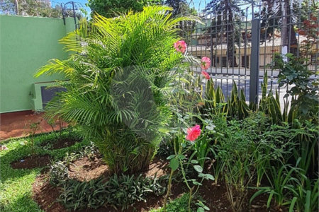 Casa com 3 Dormitórios no Campo Belo