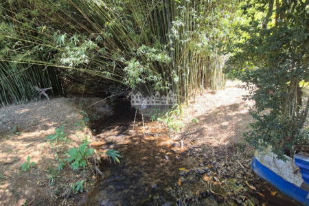 Sítio à venda com 7 alqueires, em Serra do Capetinga, Itapeva - MG