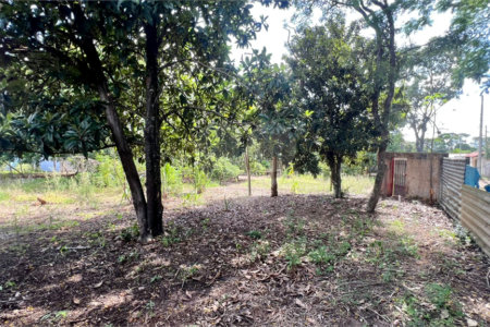 Lote à venda no Balneário Santo Antônio – Broa