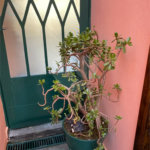 Casa a venda na Mooca
