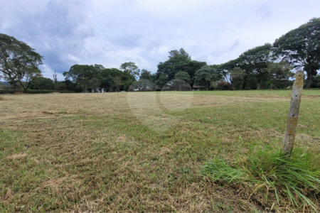 Loteamento Residencial em Condomínio