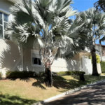 Belíssima casa Alto Padrão - Louveira