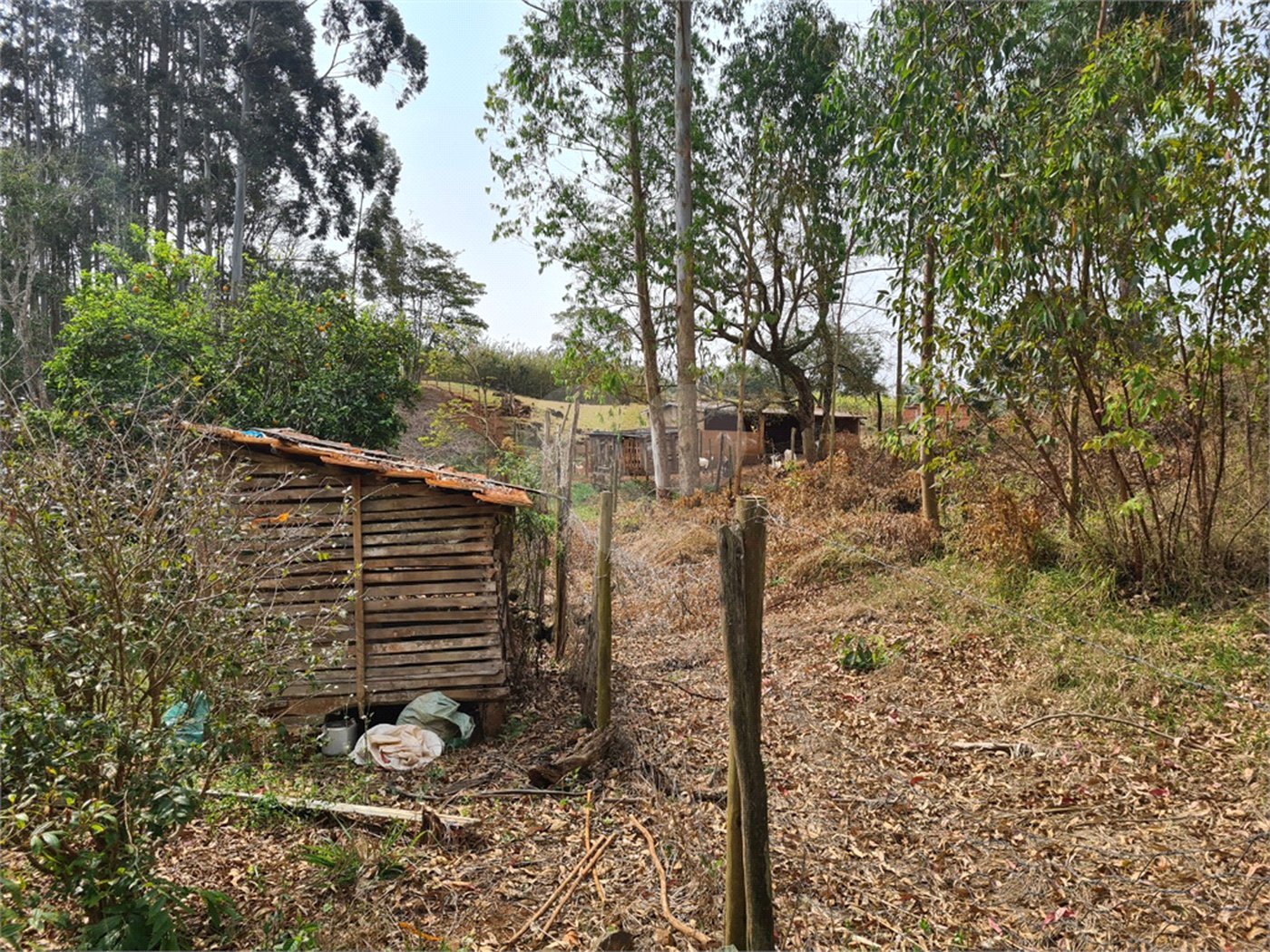 Ribeirão Grande - Bairro ferreira dos Matos - Sítio de 30.000 metros - R$ 600.000,00