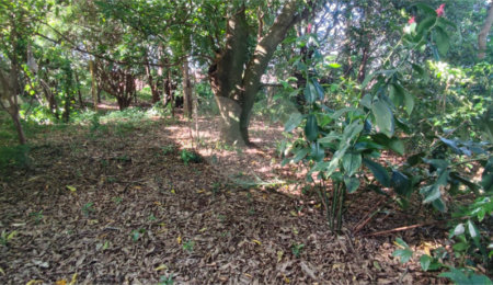 Terreno à venda em Chácara Parque Club, São Carlos, SP