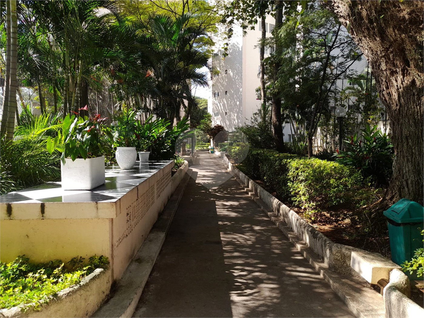 Apartamento á venda - Vila Mascote