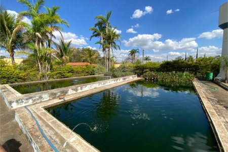 Excelente sitio para venda.