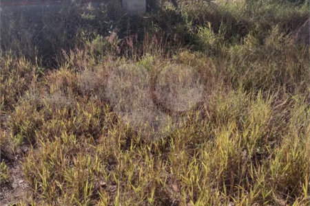 Terreno no Bairro Monterrey